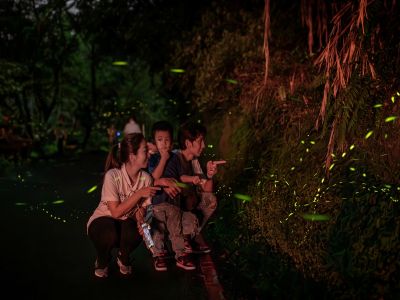  2026鯉魚潭賞螢季-趣看火金姑