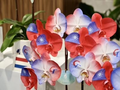  2026臺灣國際蘭展