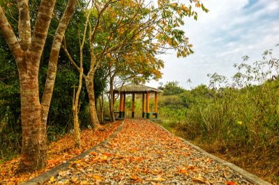  牛埔泥岩水土保持教學園區