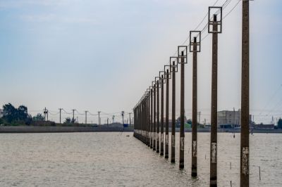  湖口濕地「水中之路」