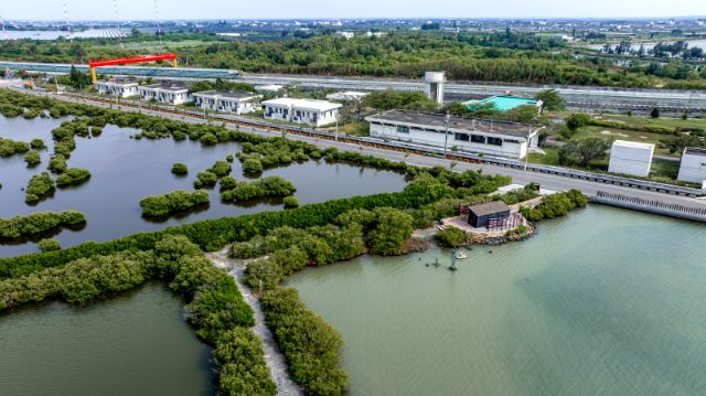  湖口濕地