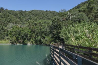  日月潭大竹湖步道