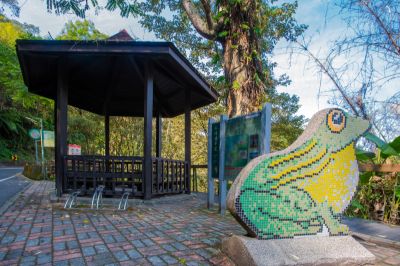  日月潭水蛙頭步道