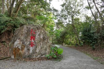  日月潭松柏崙步道