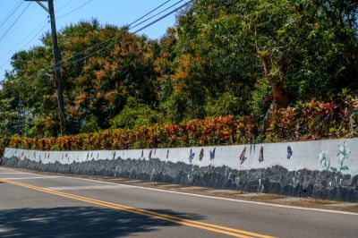 茂林景點剪影 04-青葉部落