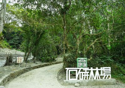  石硦林場 登山口