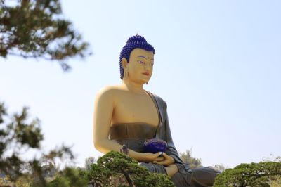  噶瑪噶居寺佛像