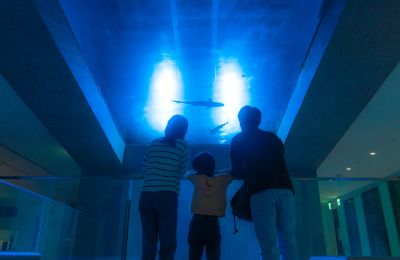 2023皇冠海岸影片拍攝案 山海之冠_潮境智能館