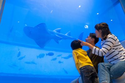 2023皇冠海岸影片拍攝案 山海之冠_潮境智能館