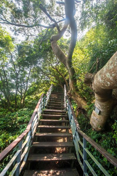 109年轄區景點攝影案 牛港稜步道秘境
