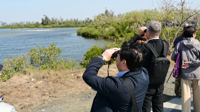  出水市貴賓於布袋濕地生態園區進行賞鳥