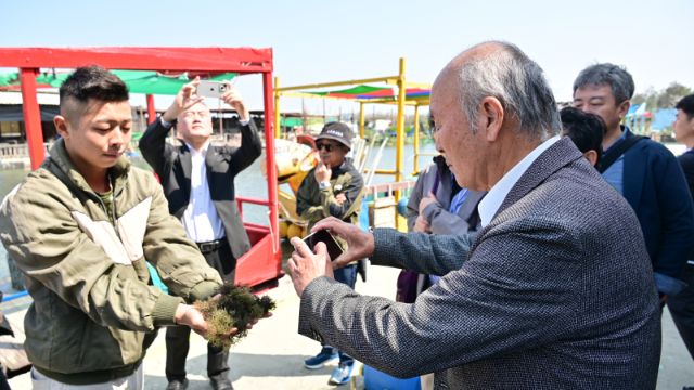  出水市貴賓拍攝海藻