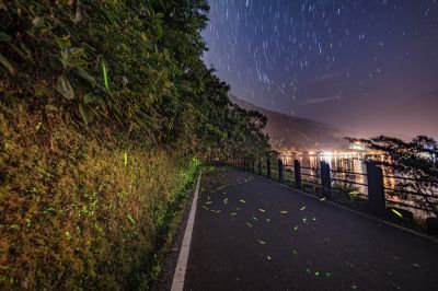  「鯉魚潭賞螢季–趣看火金姑」星軌與螢火蟲
