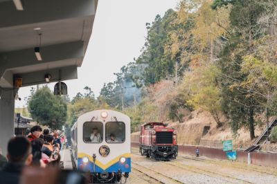  奮起湖車站月台