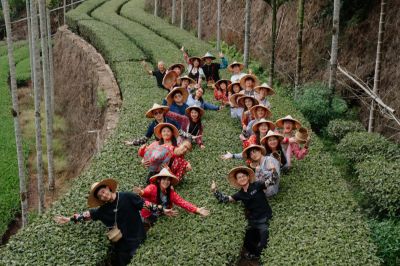  2026阿里山星光婚旅系列照片