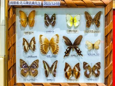  清水岩生態展示中心