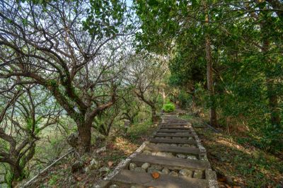 茂林景點剪影 04.01-浦來溪頭社戰道