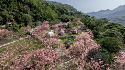 茂林景點剪影 04.08-寶來花賞溫泉公園