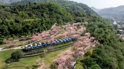 茂林景點剪影 04.09-寶來花賞溫泉公園