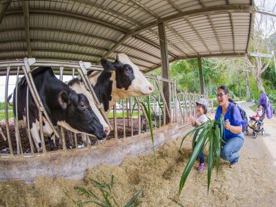  花蓮瑞穗-養生溫泉泛舟樂、茶香乳香咖啡香