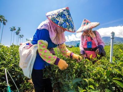  花蓮瑞穗-養生溫泉泛舟樂、茶香乳香咖啡香