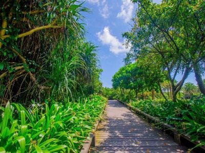  藍灣海濱休憩園區（鹽寮海濱公園）