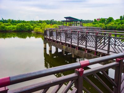  崎峰濕地公園