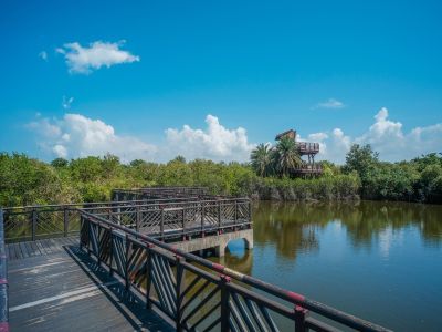  崎峰濕地公園