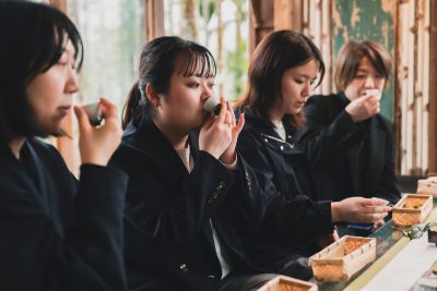  2026仲夏來阿里山-遊程