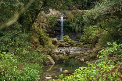  圓潭生態雲區-螢火蟲季-鶯月耀夜系列照片