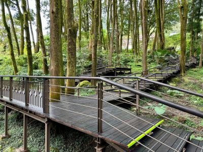  肖楠母樹林步道