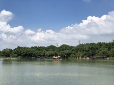 柳營尖山埤渡假村