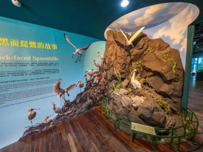  黑面琵鷺生態展示館