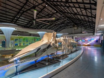  雲嘉南濱海國家風景區-北門遊客中心