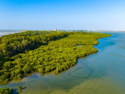  好美寮自然保護區