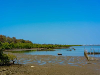  好美寮自然保護區