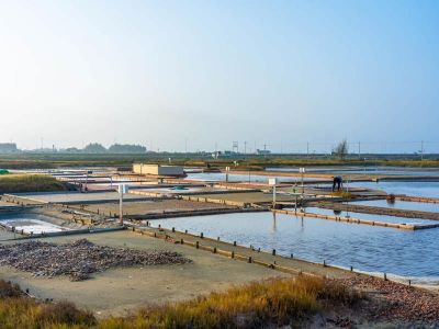  洲南鹽場
