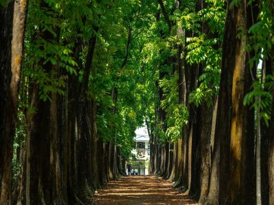  茂林國家風景區-新威遊客中心