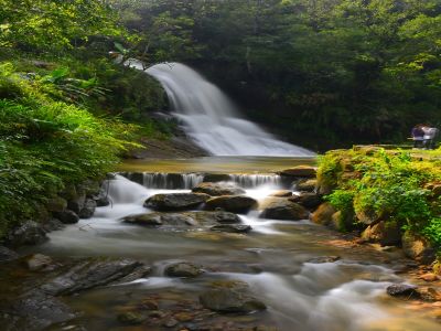  圓潭生態園區