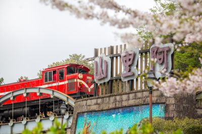 雲端 櫻花季 阿里山站周邊｜DL-43 柴油機車