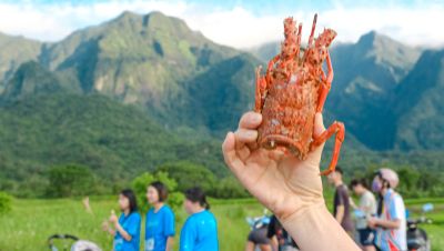 2026長濱雙浪金剛馬拉松 地表最強龍蝦補給