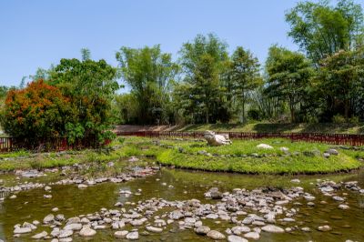 茂林景點剪影 01-新威森林公園