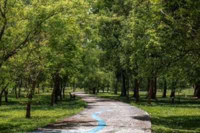 茂林景點剪影 02-新威森林公園