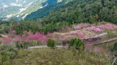 茂林景點剪影 06-寶山二集團櫻花公園
