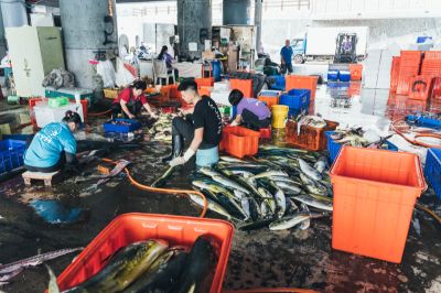 台灣觀光日文雙月刊─2025.7月號 成功漁港-004