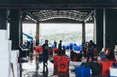 台灣觀光日文雙月刊─2025.7月號 成功漁港-017