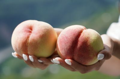  梨山水蜜桃
