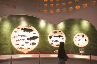 台灣觀光韓文雙月刊─2025.11月號 國立海洋科技博物館-館內展覽