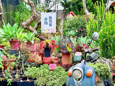 田尾公路花園 S__17588256