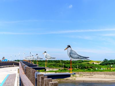  2026桃園地景藝術節